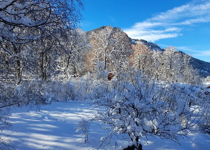 Schanzblick 公寓 巴特欣德朗