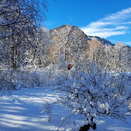Schanzblick Apartment Bad Hindelang